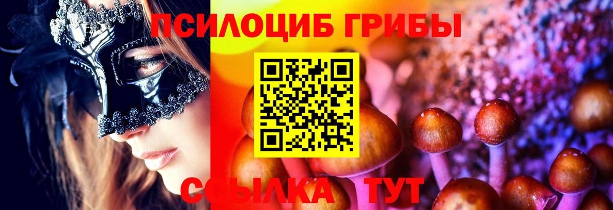 Псилоцибиновые грибы GOLDEN TEACHER Коммунар