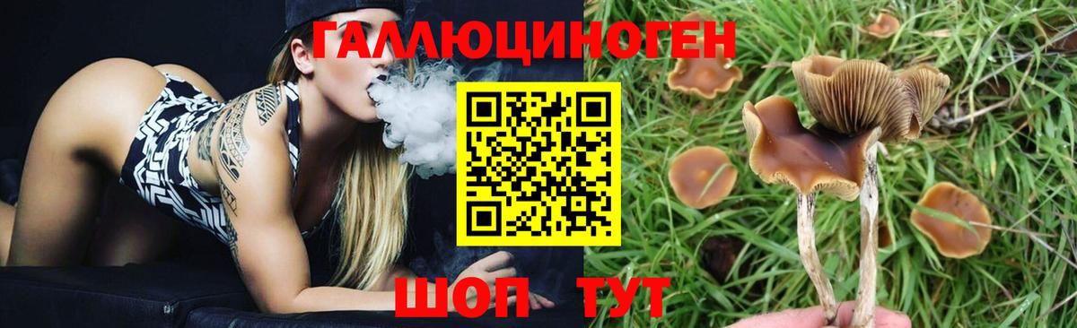 Коммунар  Галлюциногенные грибы Psilocybine cubensis  Вход с VPN  Галлюциногенные грибы Magic Shrooms 